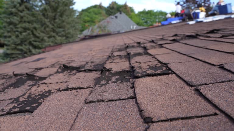 Best Roof Leak Repair  in Union Mill, VA